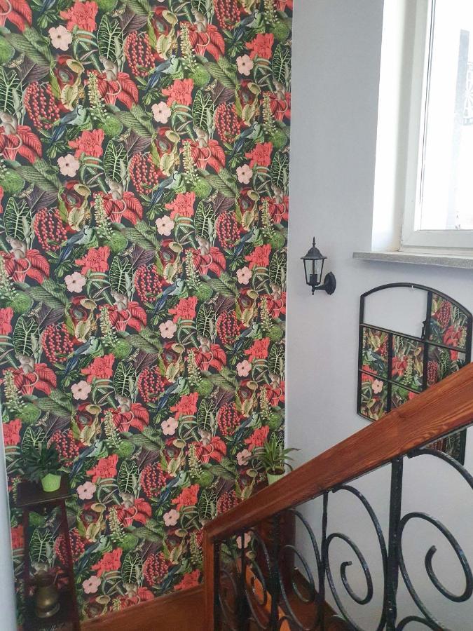 Hostel Mazurska 8A Olsztyn  Dış mekan fotoğraf